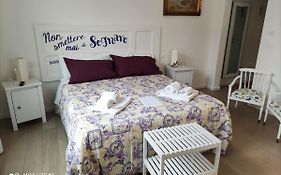 Ramo Rosso di Paolo Natalini